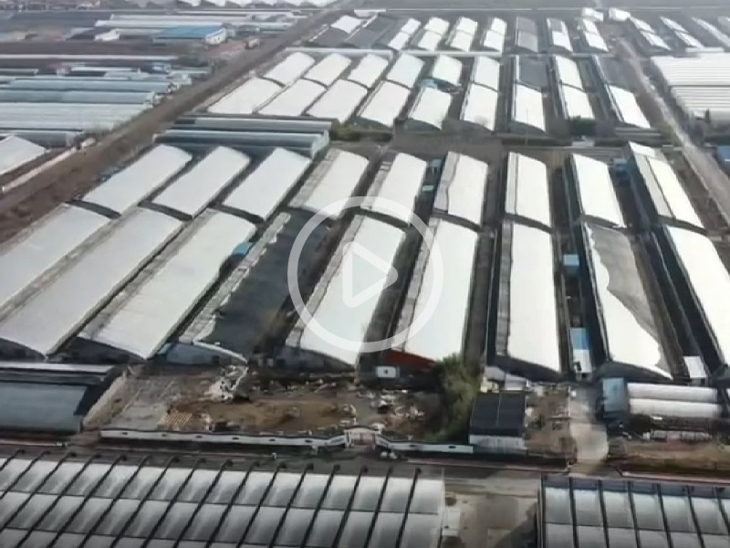 玻璃溫室建造現(xiàn)場