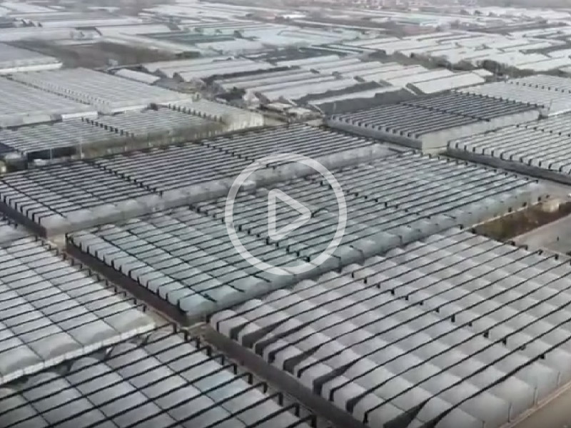 溫室大棚建造現(xiàn)場